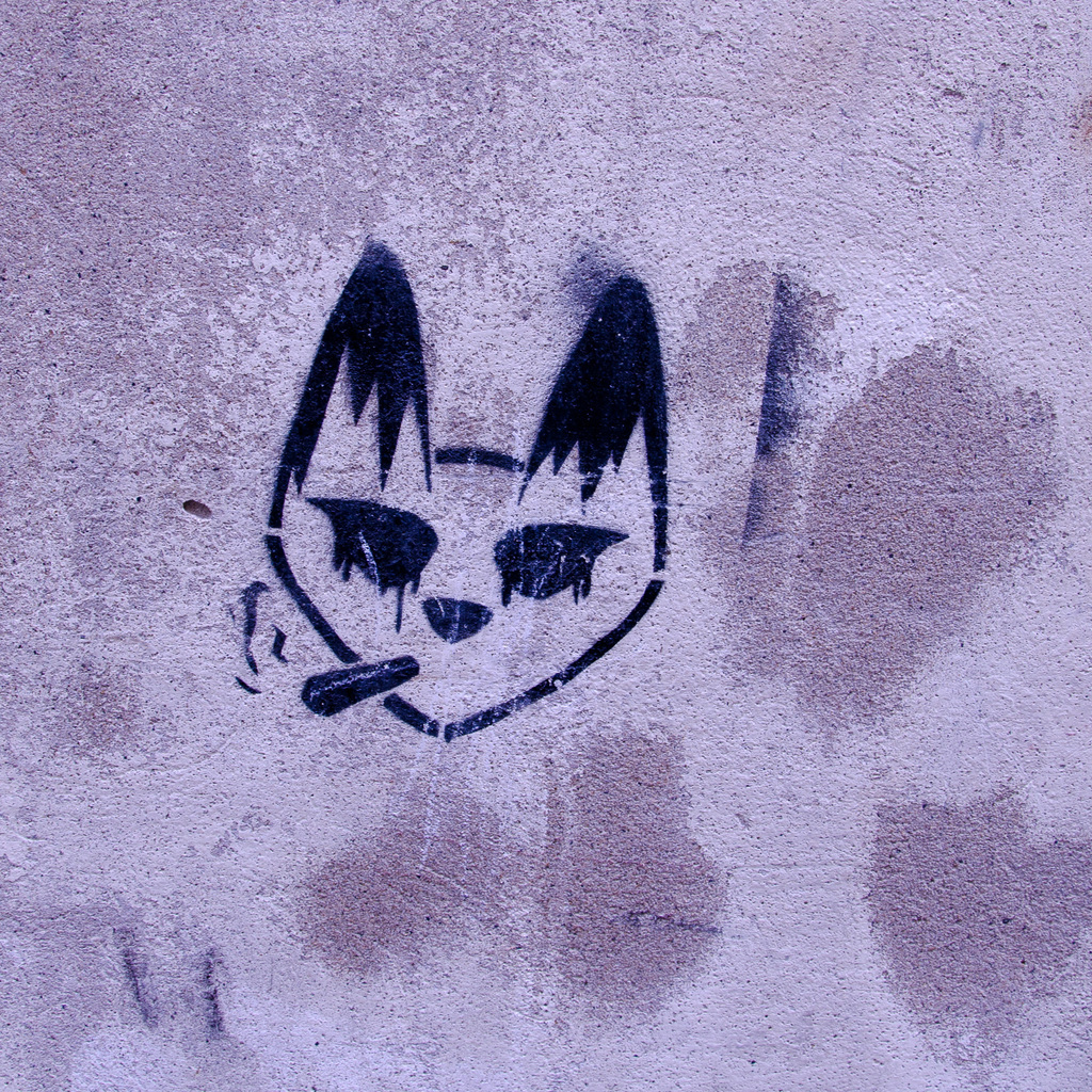 Smoking cat