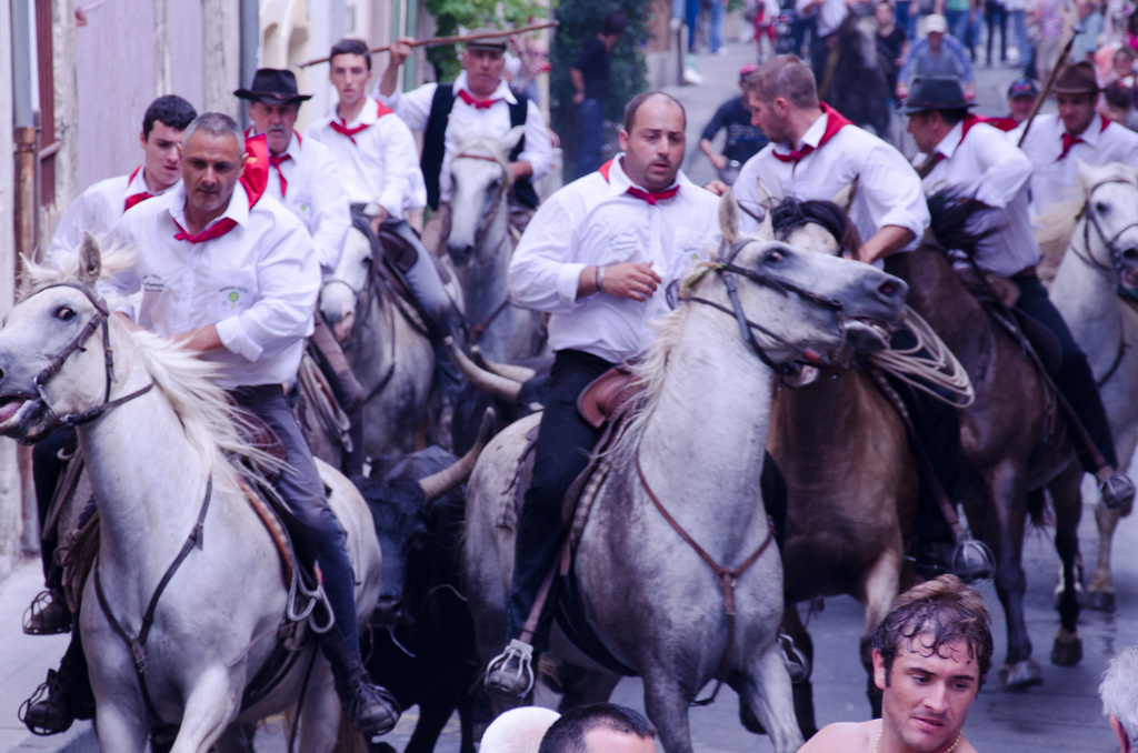 Running the bulls in Arles