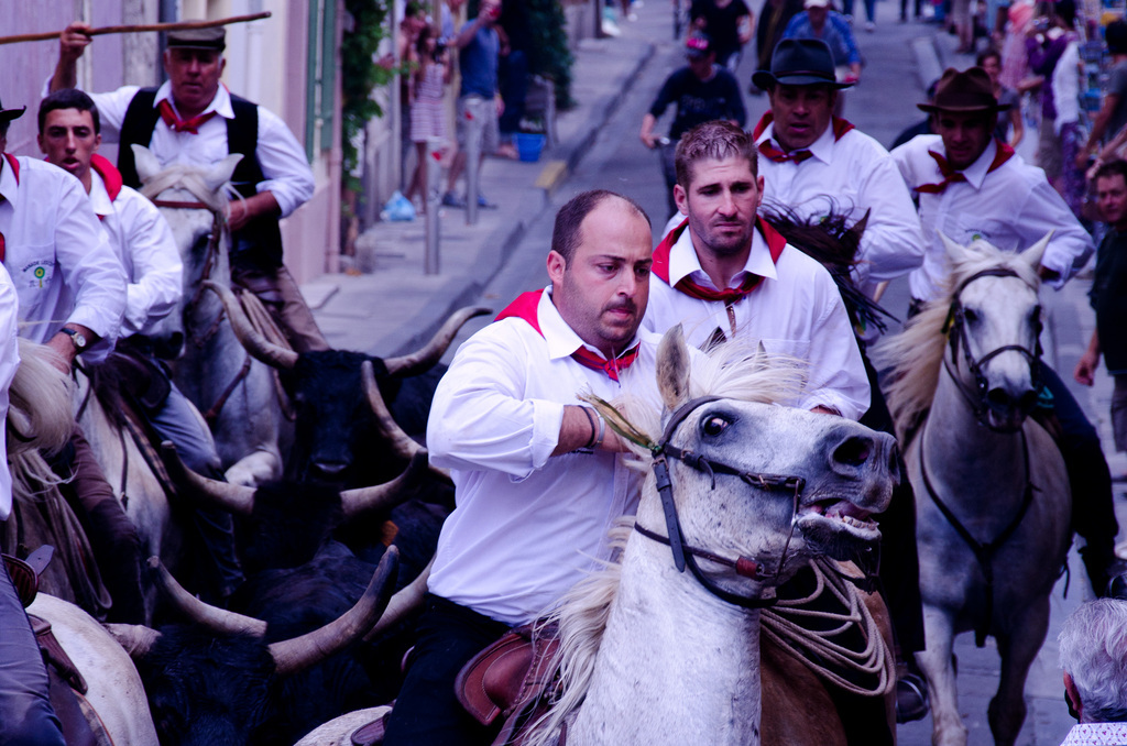 Running the bulls in Arles