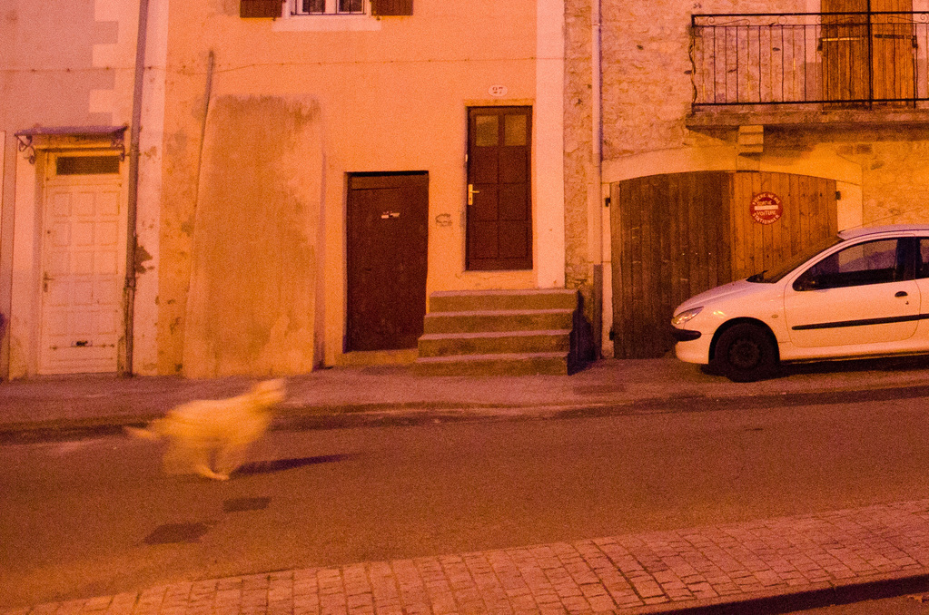 Viviers