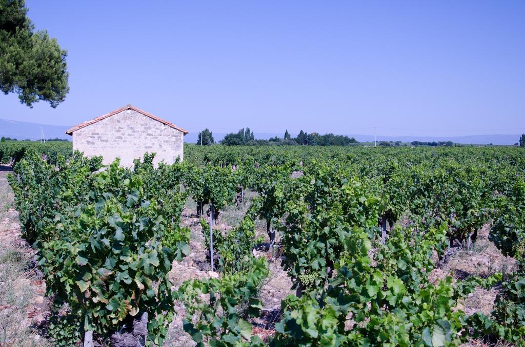 Châteauneuf-du-Pape