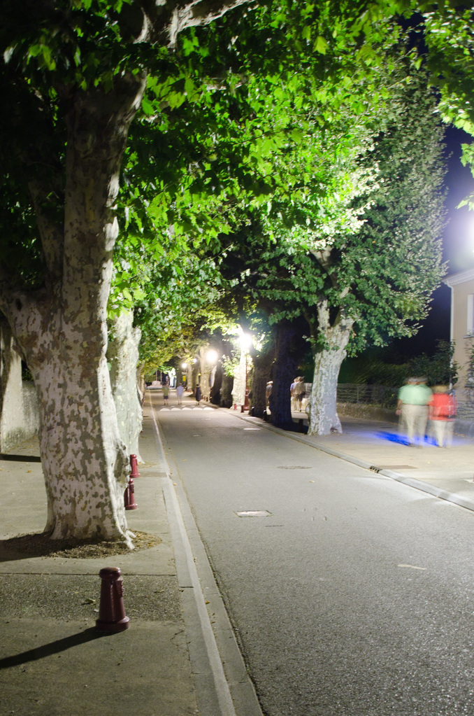 Viviers