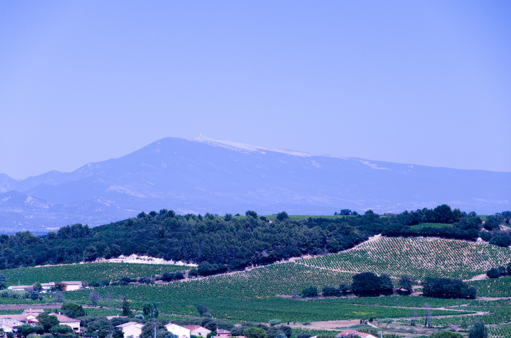 Châteauneuf-du-Pape