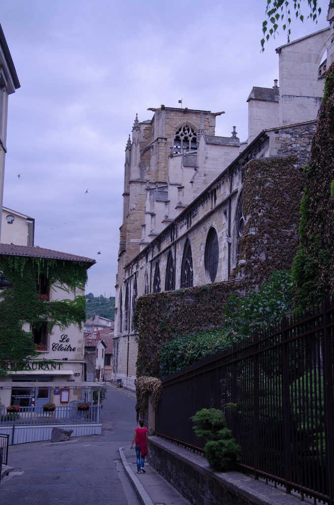 Vienne