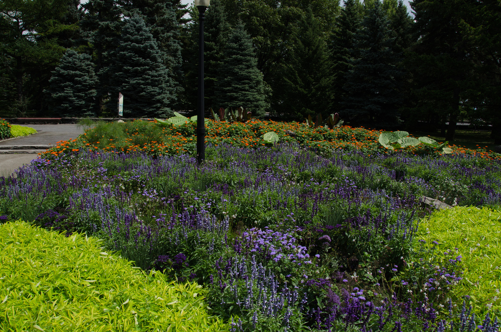 Montréal botanical gardens Montréal botanical gardens