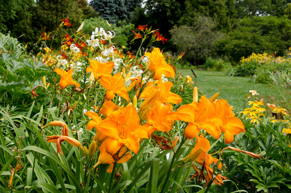 Montréal botanical gardens Montréal botanical gardens