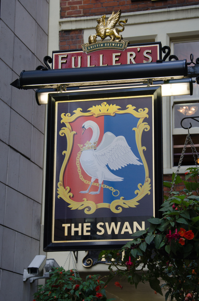 The Swan