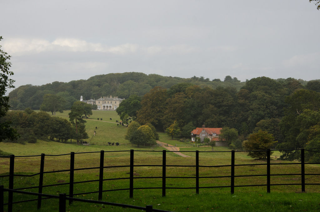 Manor