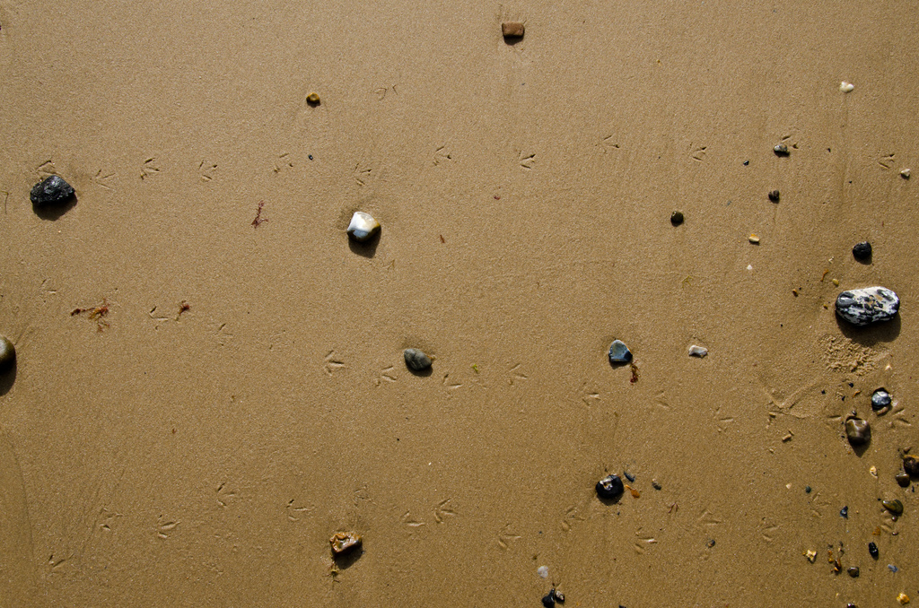 Tracks