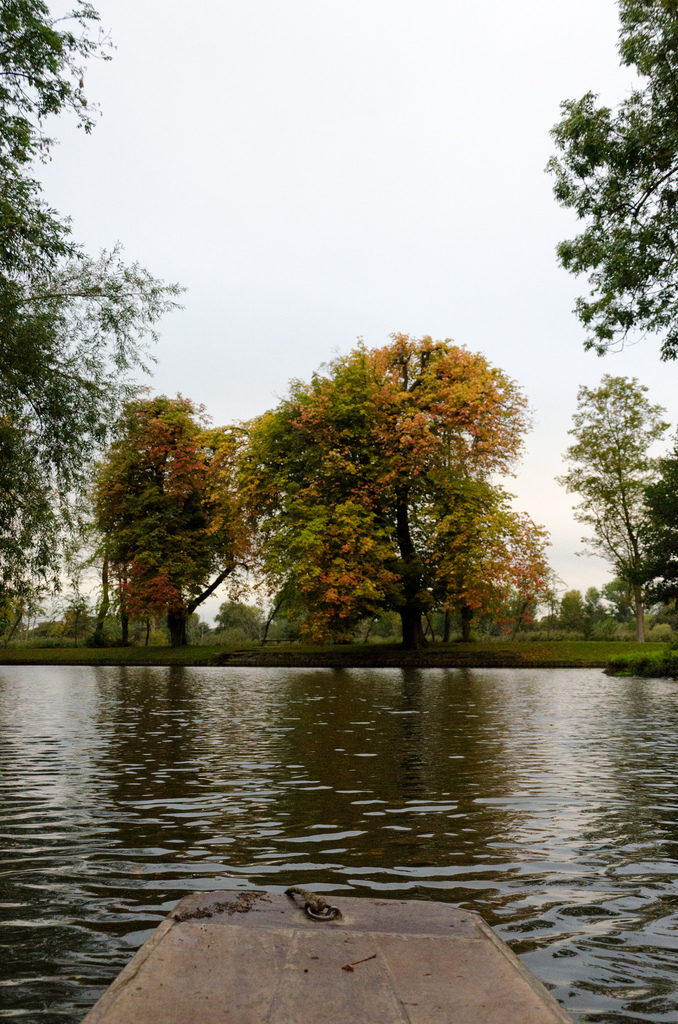 Punting Punting