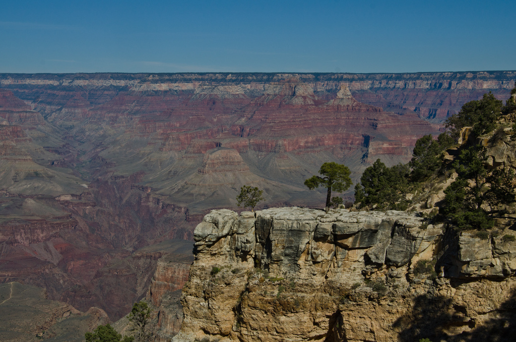 The Grand Canyon