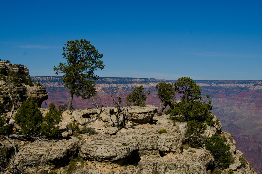 The Grand Canyon