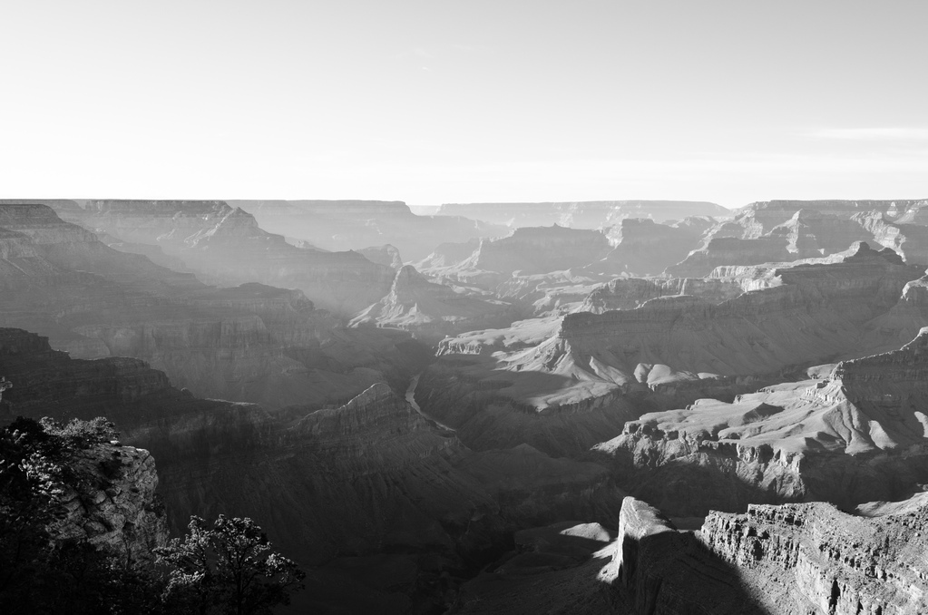 The Grand Canyon