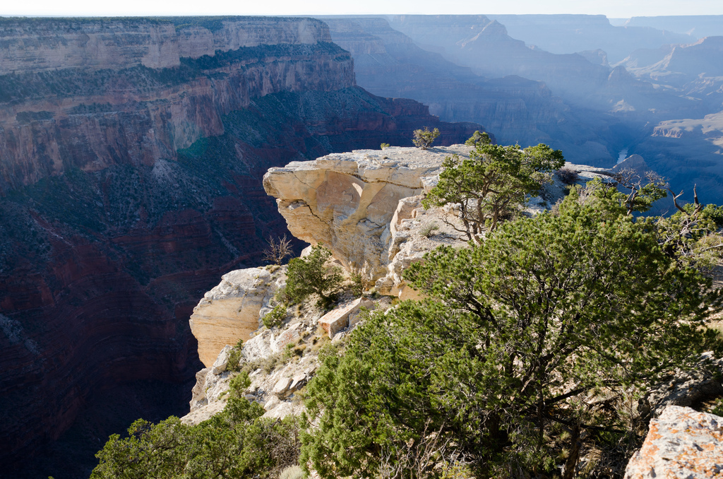 The Grand Canyon