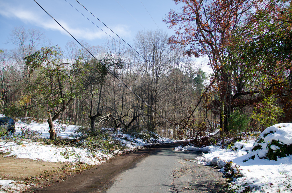 Wires down