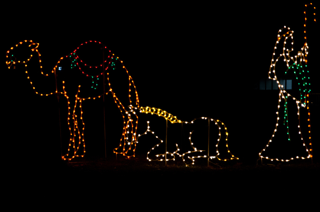 Bright Nights 2011