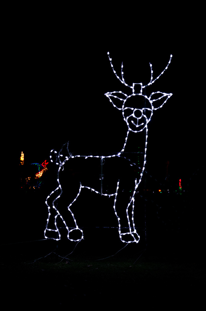 Bright Nights 2011