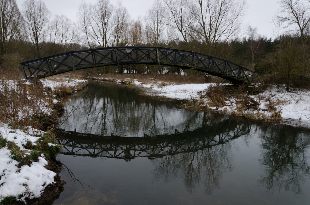 Mathematics bridge