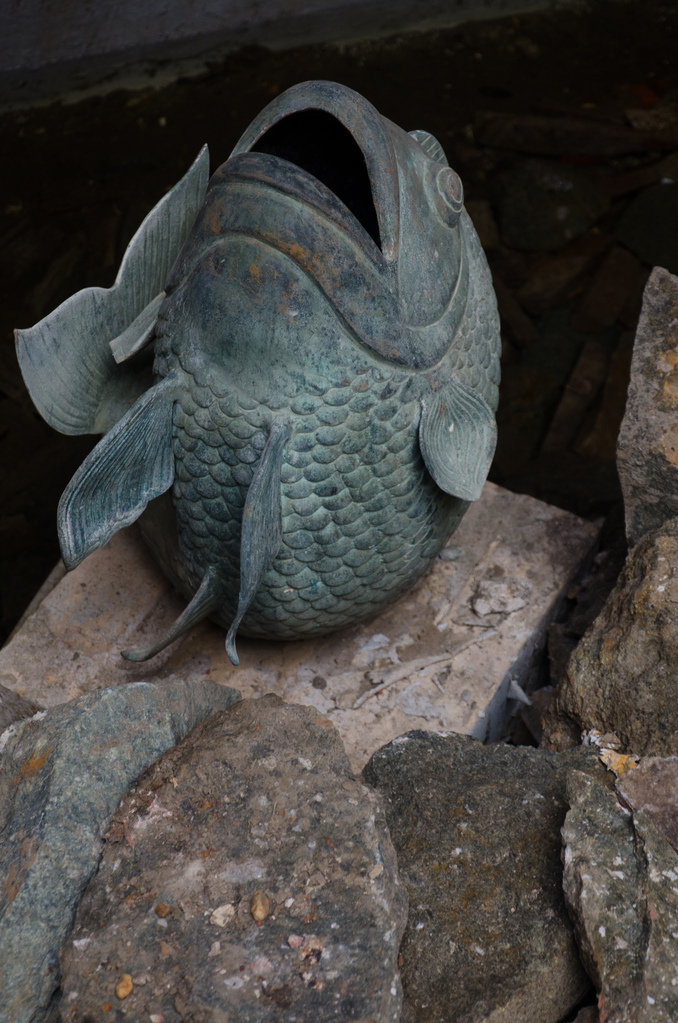 Fish