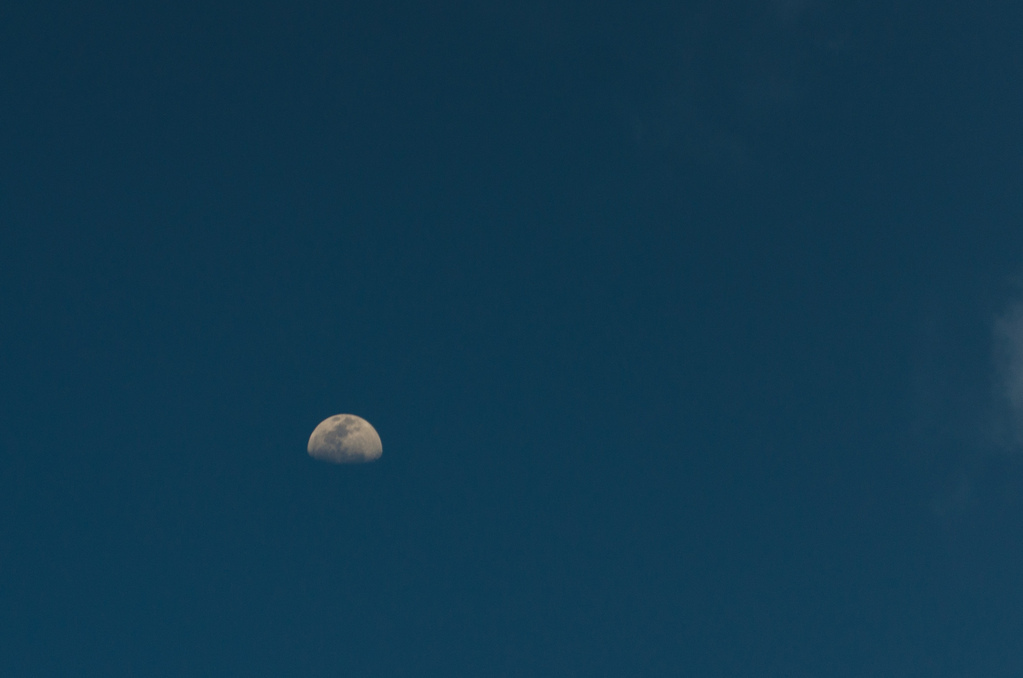 Moon