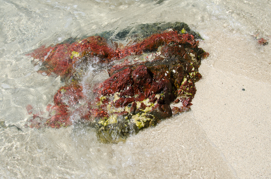 Red rock