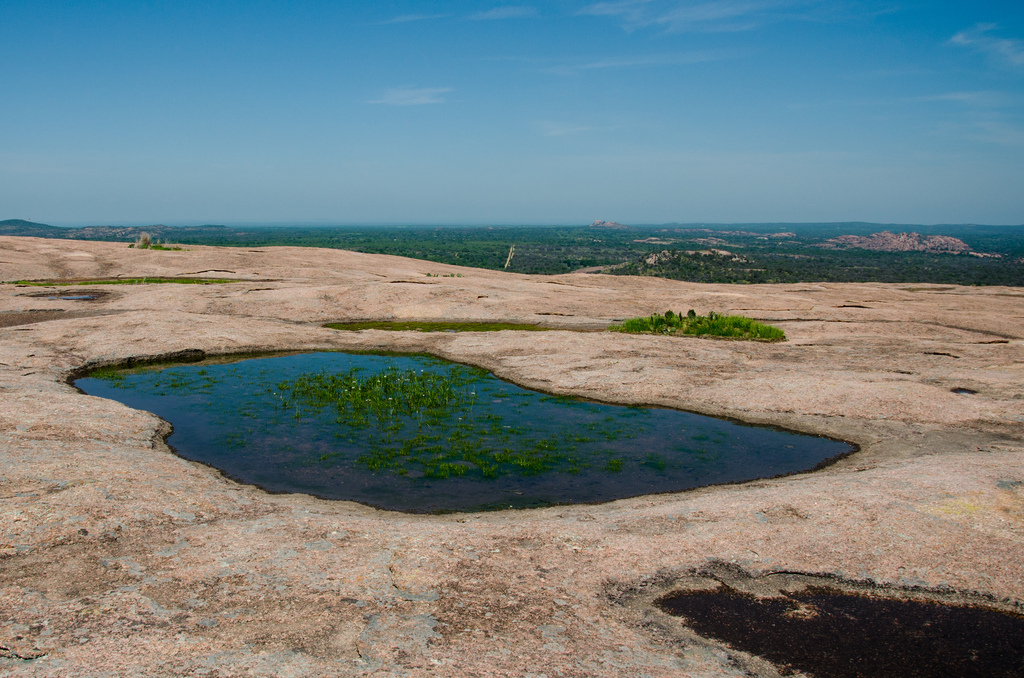 Pools on Enchanted Rock