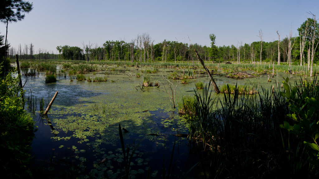 Rail trail pond Rail trail pond