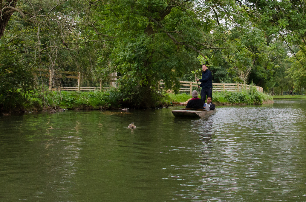 Punting Punting