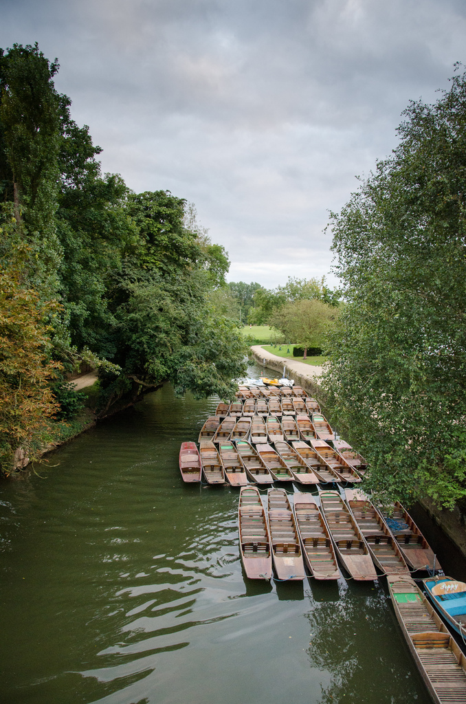 Punting