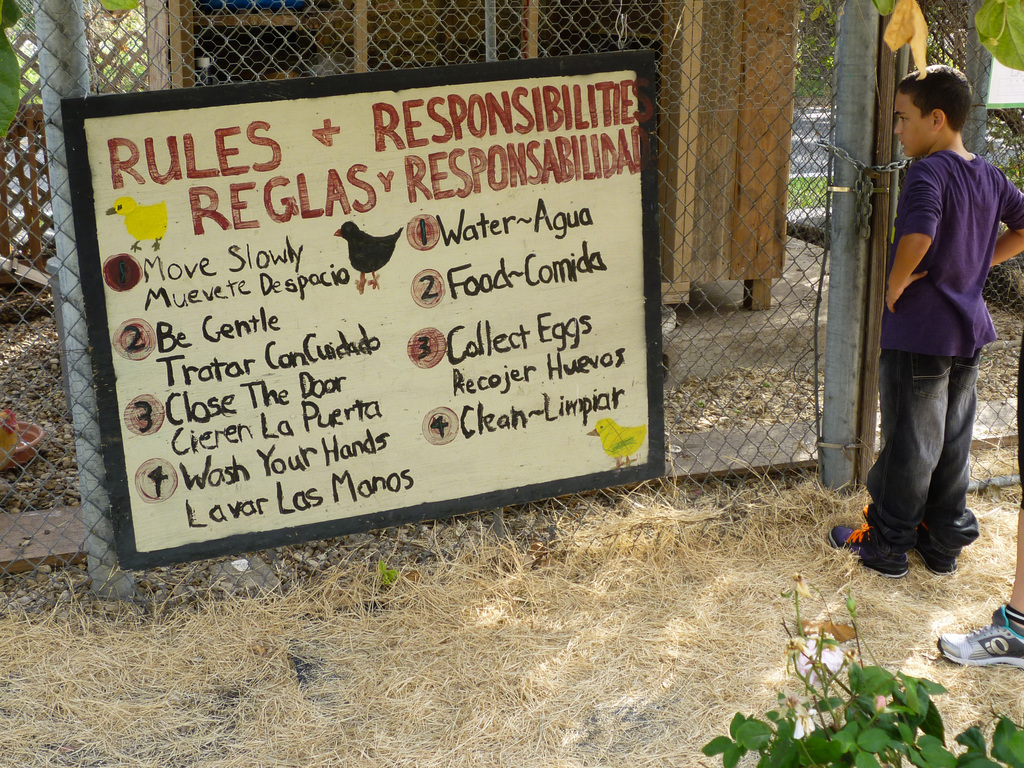 Rules and Responsibilities Rules and Responsibilities
