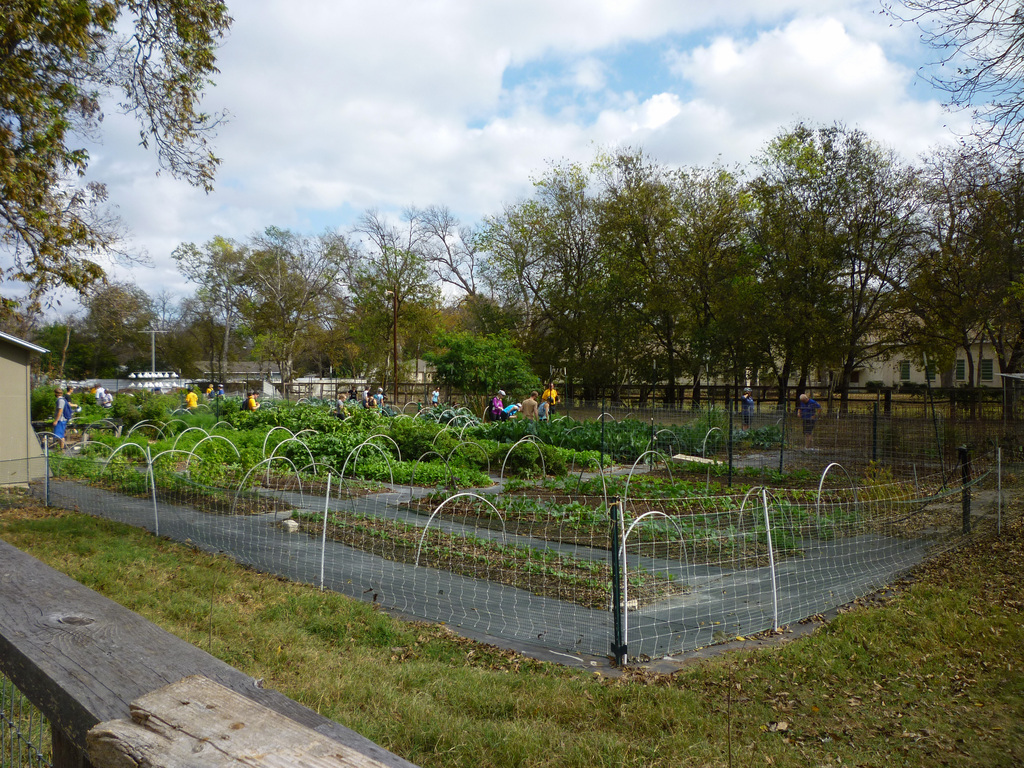 Urban Farm Bicycle Tour 2012 Urban Farm Bicycle Tour 2012