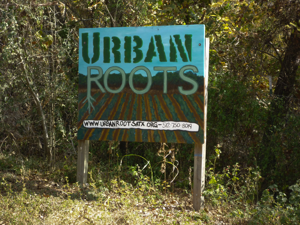 Urban Roots Urban Roots