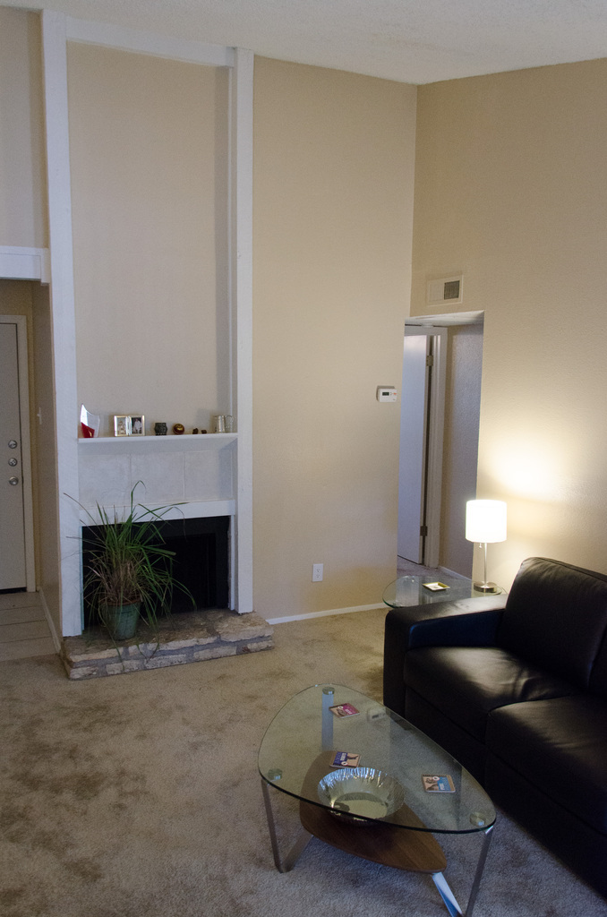 Living room vaulted ceiling