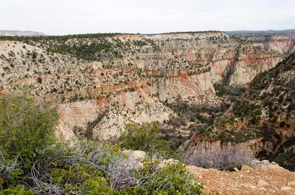 Zion Mountain Ranch