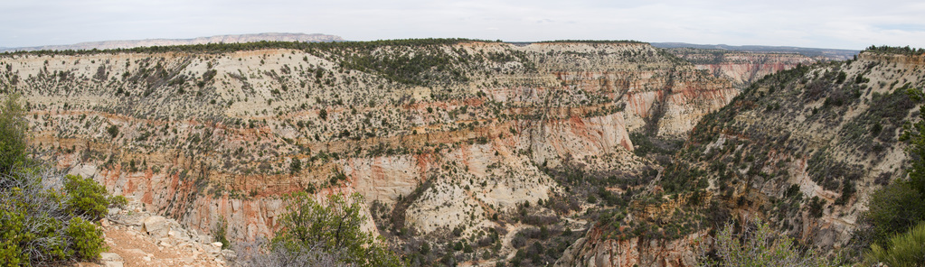 Zion Mountain Ranch