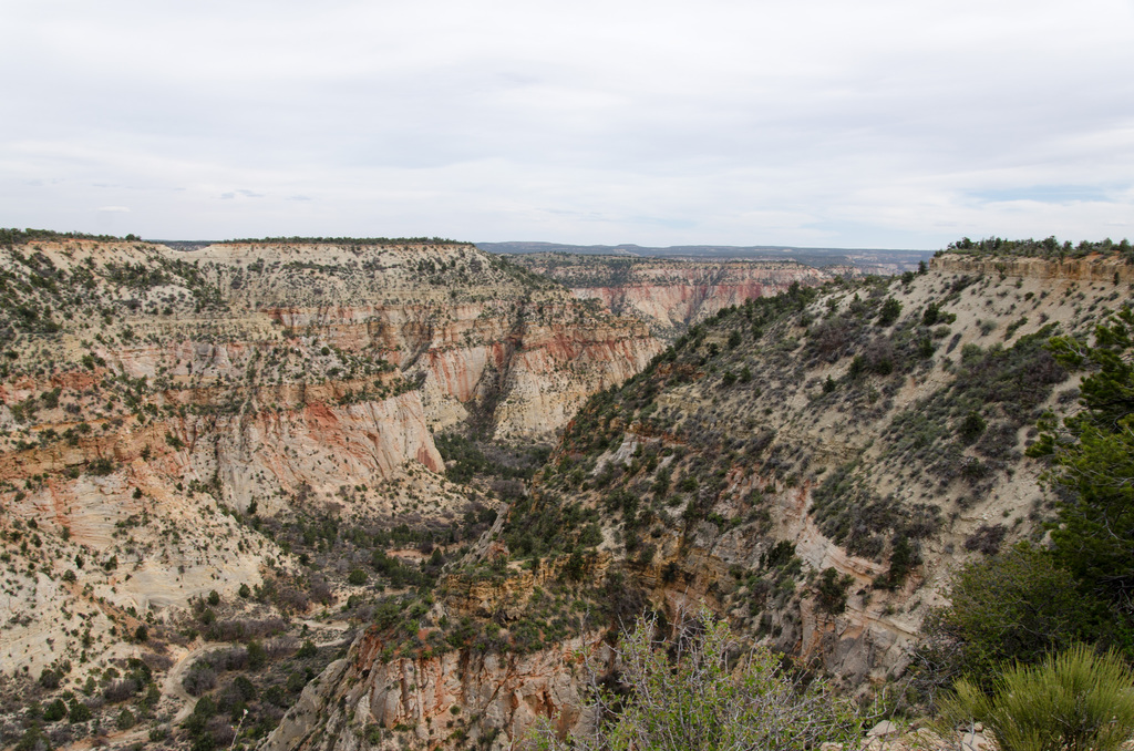 Zion Mountain Ranch