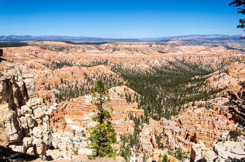 Bryce Canyon