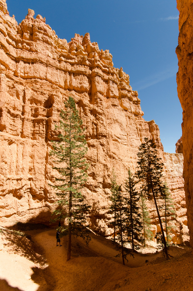 Bryce Canyon Bryce Canyon