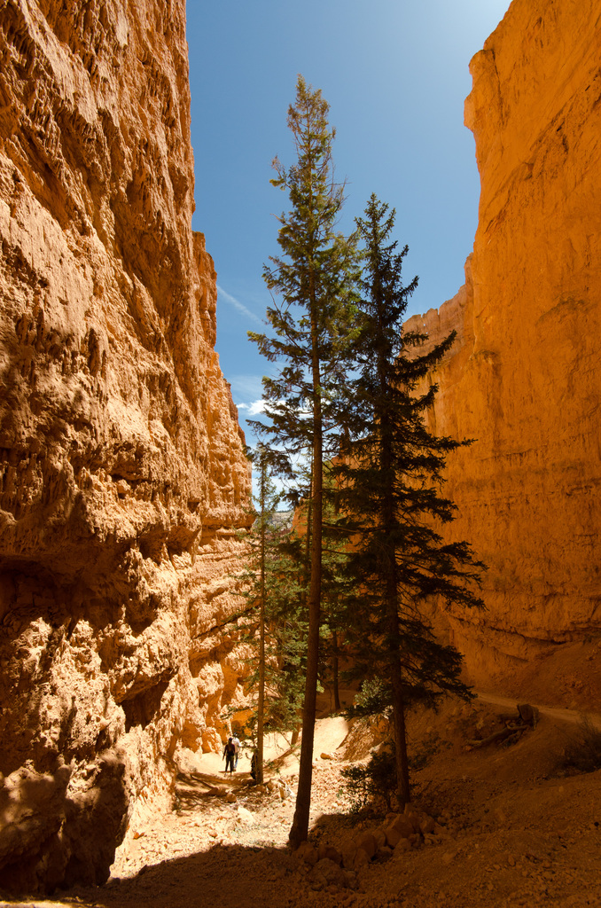 Bryce Canyon Bryce Canyon