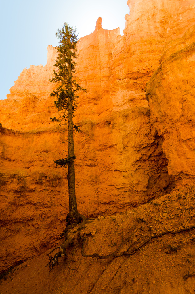 Bryce Canyon
