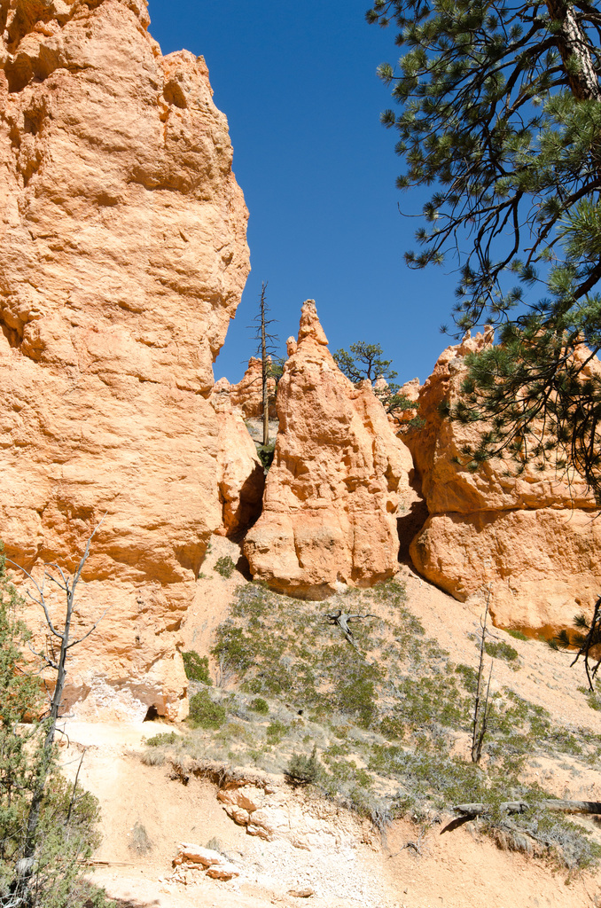Bryce Canyon Bryce Canyon
