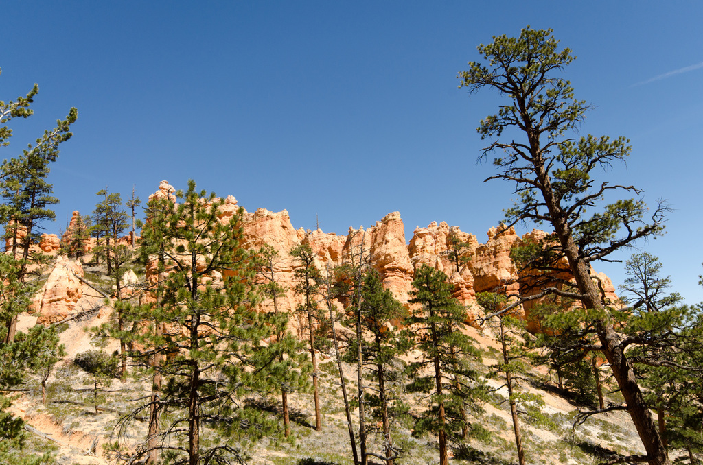 Bryce Canyon