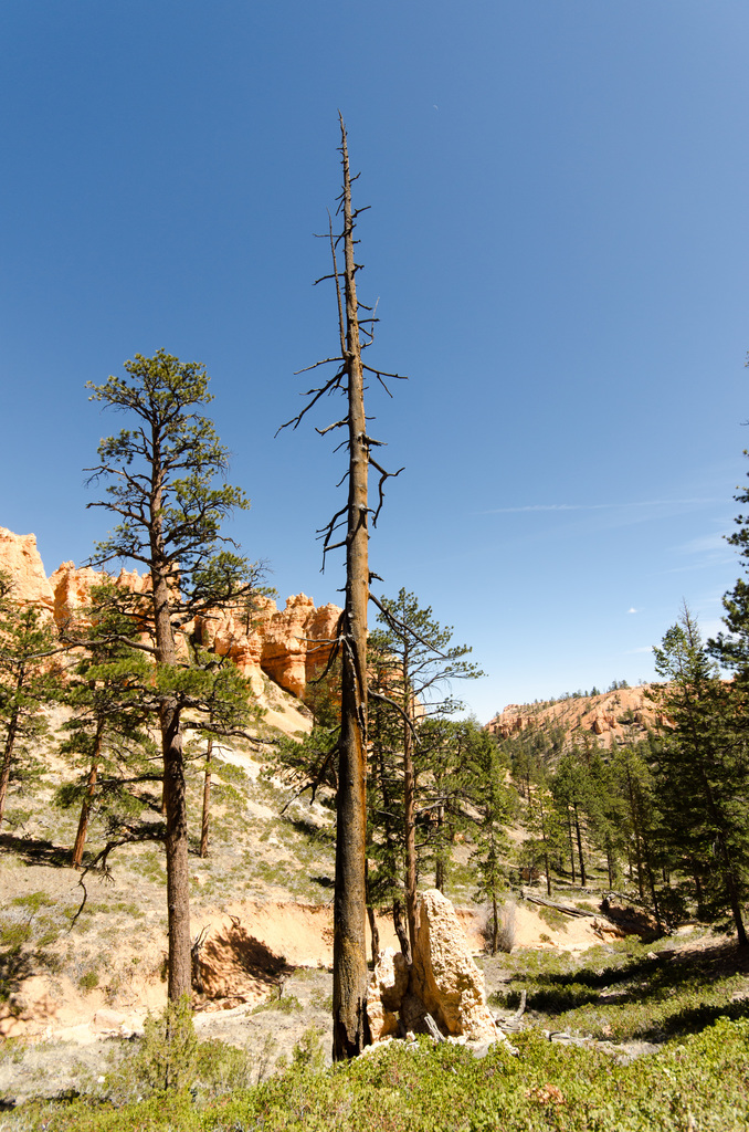 Bryce Canyon