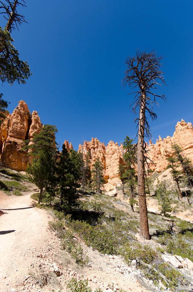 Bryce Canyon Bryce Canyon