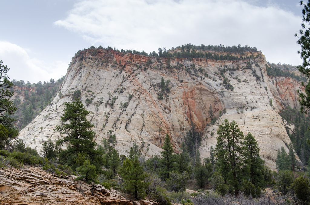 Zion