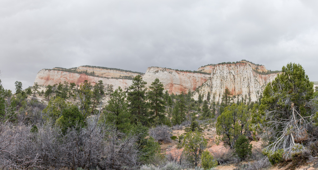 Zion