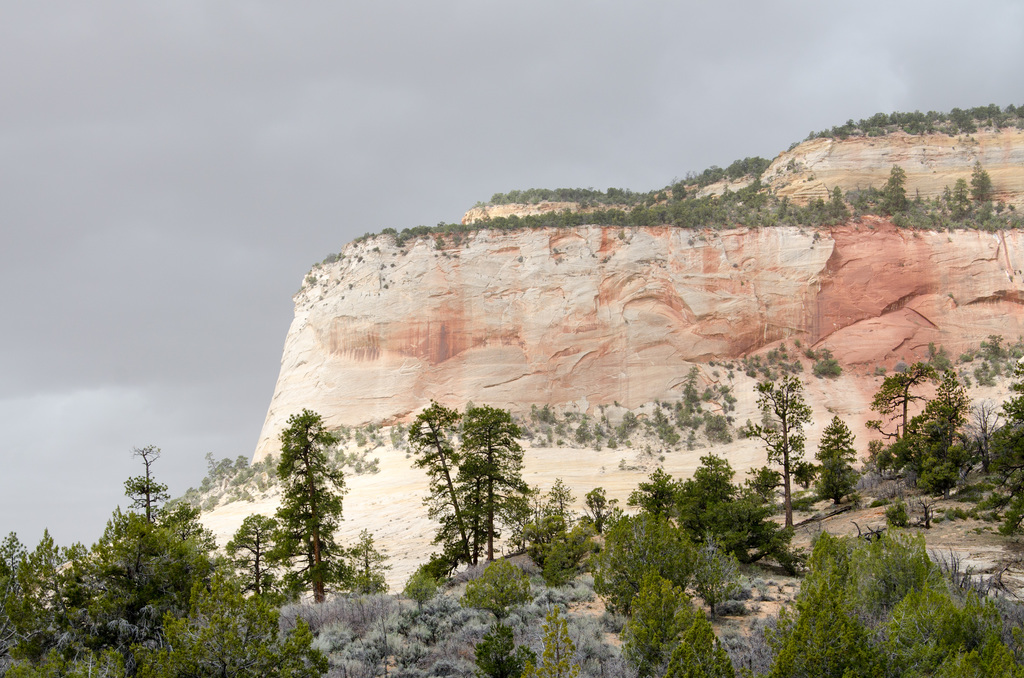 Zion