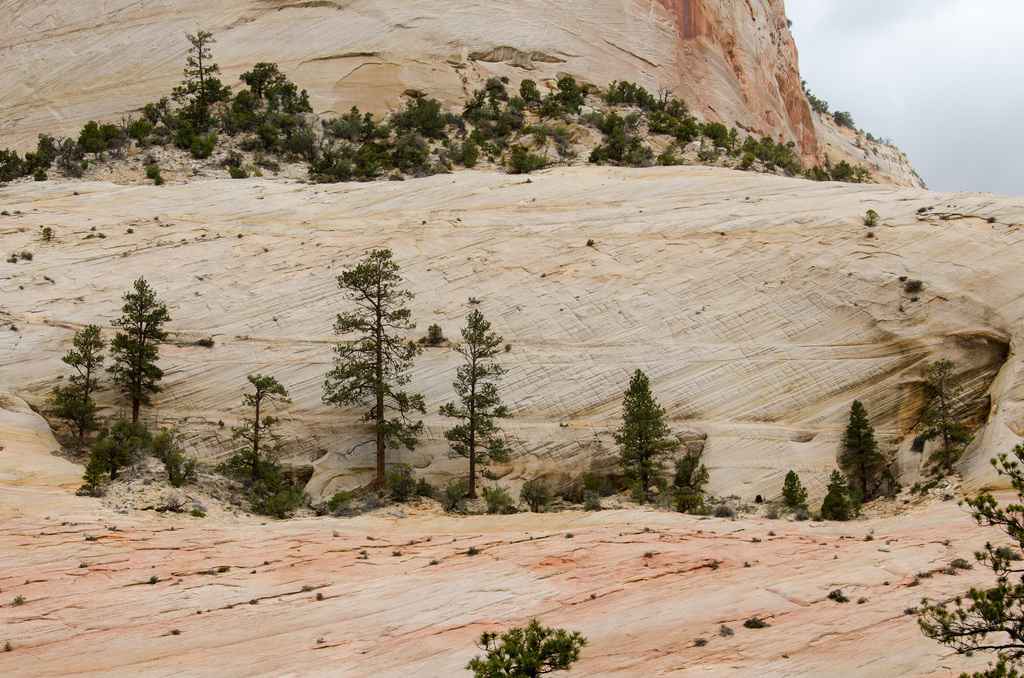Zion