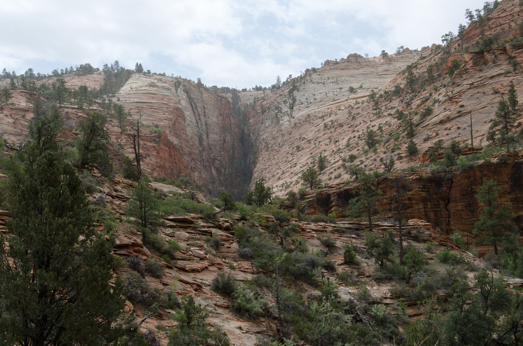 Zion