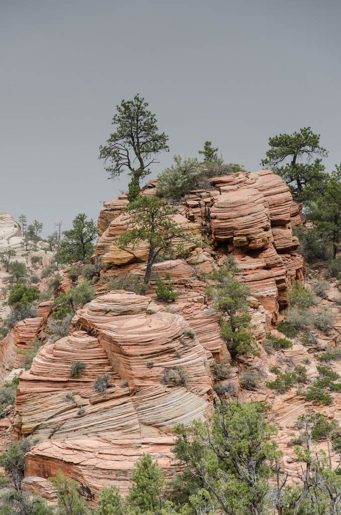Zion